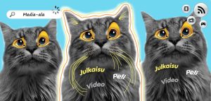 Esitteen yläbanneri