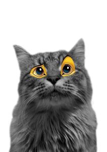 My superhero_kuva-tehtävä