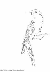 Värityskirja-tehtävä