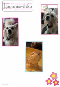 Luonnosvikon kansi-tehtävä